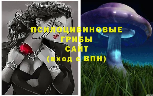 Альфа ПВП Алзамай