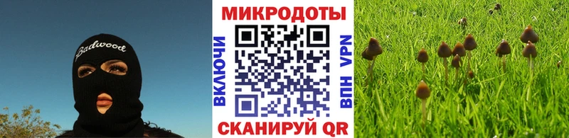 Галлюциногенные грибы ЛСД Карачев