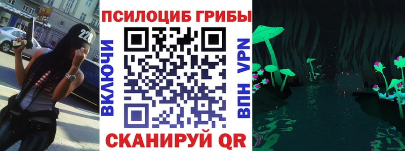 Галлюциногенные грибы мицелий  Карачев 